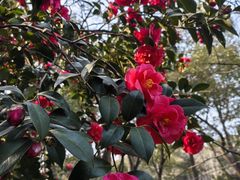 -蜀冈西峰生态公园