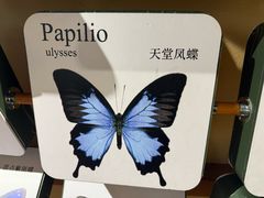 -萌宠奇缘(荣鼎店)