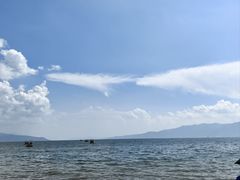 -月亮湾湿地公园