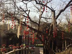 -卫鼎轩·曹公馆(鼓楼店)