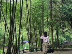 -千泷沟大瀑布旅游区
