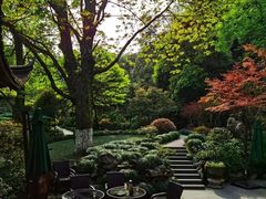 -十八棵（老龙井）御茶园(老龙井店)