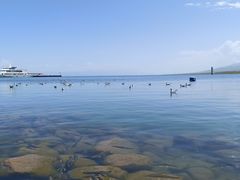 -青海湖国家重点风景名胜区