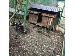 -藏龙百瀑风景区