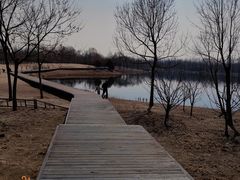 -东郊湿地公园