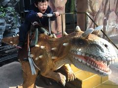 -东方山水金沙酒店-雅香阁中餐厅