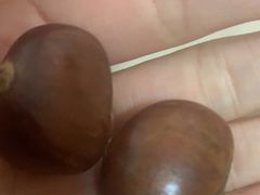 -粒上皇(虎门万达店)