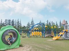 -上海长兴岛郊野公园