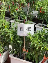 -梦田都市农场(银泰城店)