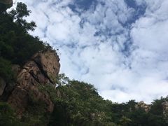 -小倩倩•鸡汤馄饨(江西路创始店)