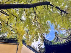 -惠山古镇·寄畅园