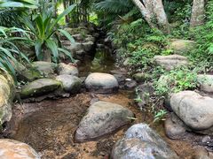 -深圳仙湖植物园