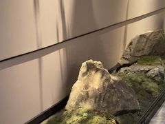 -海立阁海鲜江浙菜(漕河泾印象城店)