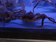 -阿伟海鲜楼·福建菜(延寿店)