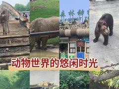 -大连森林动物园