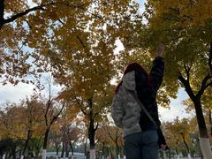 -北陵公园