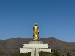 -中原大佛景区