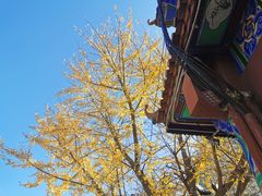 -云南古玩城(护国路店)