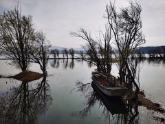 -洱海月湿地公园