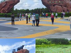 -黑瞎子岛探秘野熊园