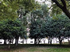 景点-尚贤河湿地