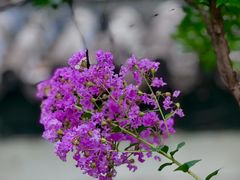 -国家植物园