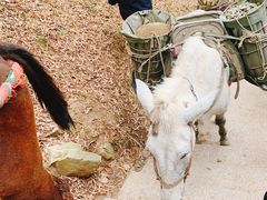 -藏龙百瀑风景区