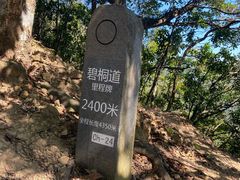 -梧桐山风景名胜区