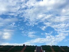 -江西景德镇玉田湖国家湿地公园