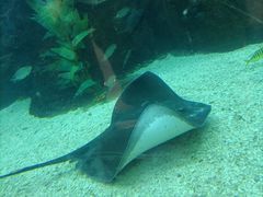 -鸿通城购物中心