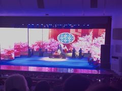 -南风大剧院莎梦二人转剧场