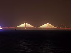 -武汉两江游览·夜游长江(汉口粤汉码头)