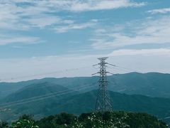 -大觉寺-停车场