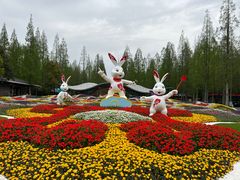 -东平国家森林公园