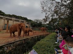 -昆明动物园