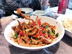 鸭掌筋-壹盏灯(惠农店)