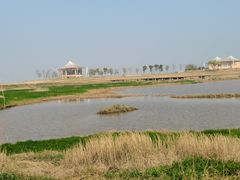 -鄱阳湖国家湿地公园