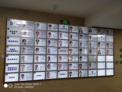 -上海大学附属上海和平眼科医院