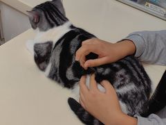 -宠颐生中康贝怡动物医院