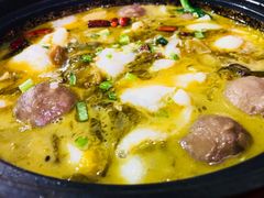 -周鱼小馆石锅酸菜鱼(活力汇店)