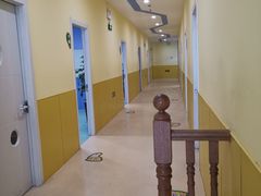 -小问号·科学启蒙·逻辑思维·阅读素养·口才演讲(杨浦合生汇中心)