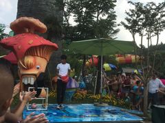 -苏州乐园森林水世界