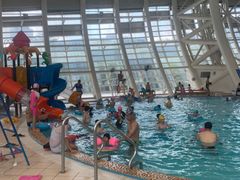 -广西体育中心-游泳馆