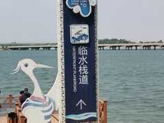 -丁香湖公园