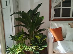 -LuluCake·路鹿蛋糕