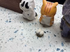 -半岛宠物医院24小时(白果林店)