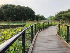 -映月湖公园