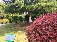 -白塘生态植物园