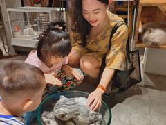 -more than meow吴止猫主题餐厅(承德 中船汇店)