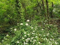 -胡桃里音乐酒馆(环亚凯瑟琳广场店)